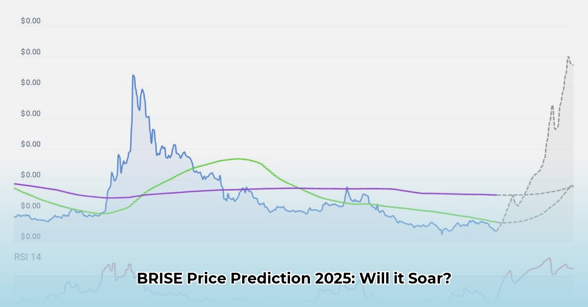 brise-price-prediction-2025